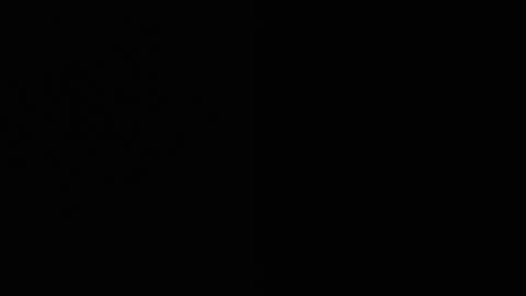 Ryushi009 online show from 21, 1, 2025