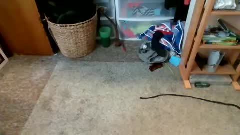 s_t_u_d_420 online show from 16, 4, 2026