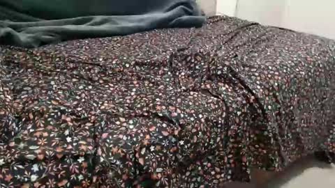 Snapshot of sactosteve chatting on 15, 12, 2024 dadbod online show from 15, 12, 2024