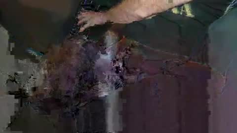 saige5558 online show from 22, 12, 2025