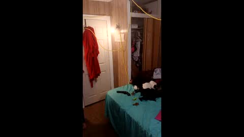 PupTwink online show from 1, 3, 2026