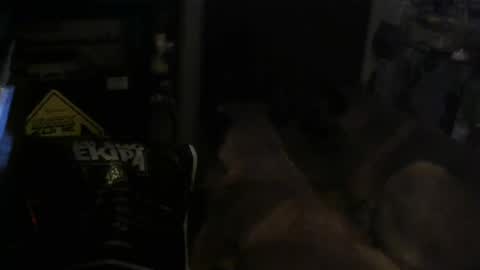 salaso138 online show from 14, 2, 2025