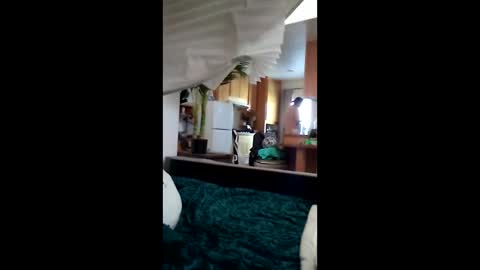 salis1981 online show from 12, 3, 2026