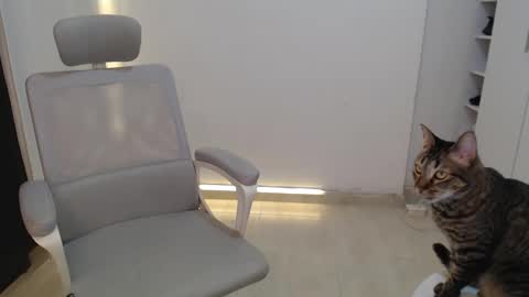 Salome online show from 19, 10, 2025