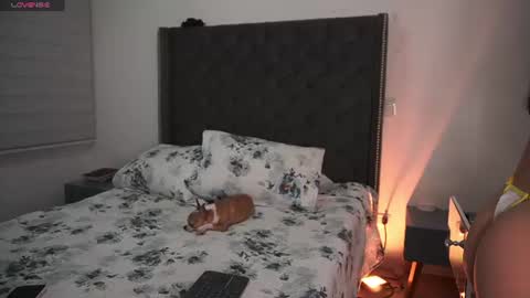 Snapshot of salomedyla chatting on 8, 7, 2026 salomedyla online show from 8, 7, 2026