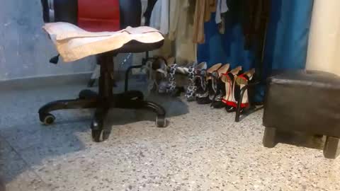 samanta online show from 3, 2, 2026