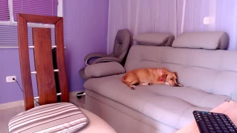 Snapshot of samanthaa_thompsoon chatting on 2, 12, 2024 sam online show from 2, 12, 2024