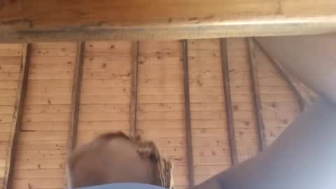 Alejandra  online show from 8, 3, 2025