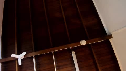 Alejandra  online show from 24, 10, 2025