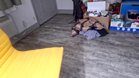 samboiamtho online show from 3, 1, 2025