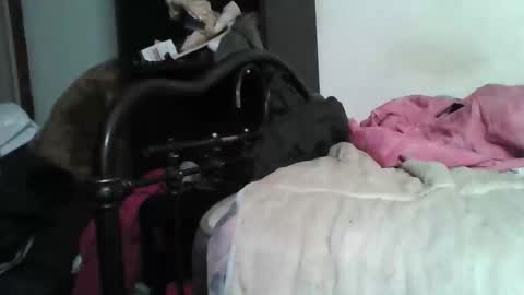 Samedisamedi1nouveau online show from 5, 12, 2025