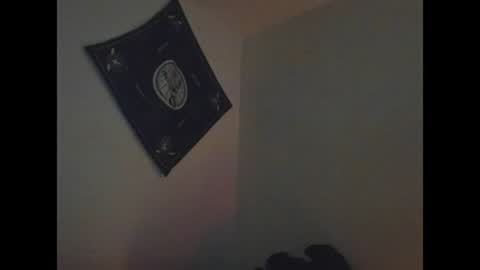 Snapshot of samevansx chatting on 1, 8, 2026 samevansx online show from 1, 8, 2026