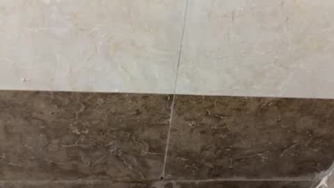 samnivin online show from 1, 11, 2025