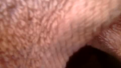 samueltal online show from 21, 2, 2026