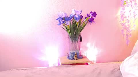 Snapshot of sandrami__ chatting on 27, 7, 2026 Sandra online show from 27, 7, 2026