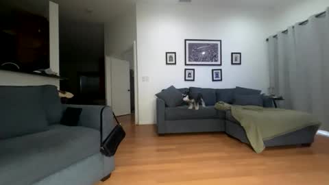 Santana online show from 12, 4, 2026