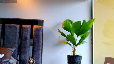 Santiago Seans online show from 12, 2, 2026