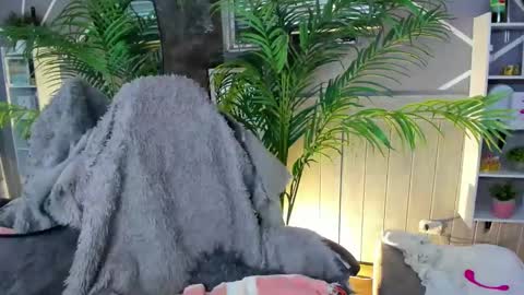 sofia gomez420 online show from 31, 12, 2024