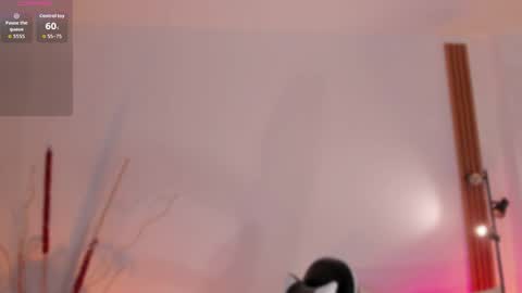 sara cavali online show from 13, 4, 2026