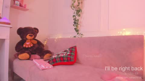 Snapshot of sarita_nice chatting on 28, 12, 2024 Sara online show from 28, 12, 2024