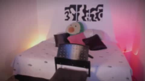 Snapshot of sarrah_3 chatting on 25, 11, 2025 Sara online show from 25, 11, 2025