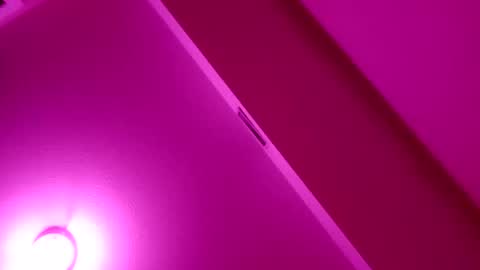 Snapshot of sashalustt69 chatting on 15, 2, 2026 sashalustt69 online show from 15, 2, 2026