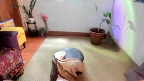 Ms. Oh   online show from 15, 1, 2026