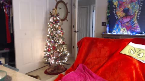 Snapshot of sassybeaver chatting on 1, 1, 2025 Trish online show from 1, 1, 2025