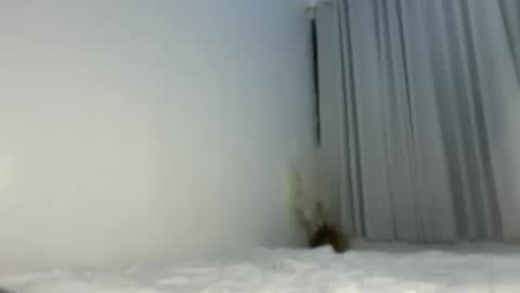 Snapshot of sassykayla chatting on 15, 5, 2026 sassykayla online show from 15, 5, 2026