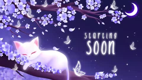 Sassy Sami Kittyn online show from 21, 10, 2025