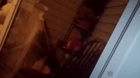 savy5150 online show from 13, 4, 2026