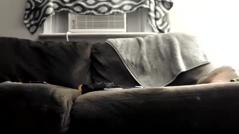 sayhi2mylilguy online show from 9, 3, 2025