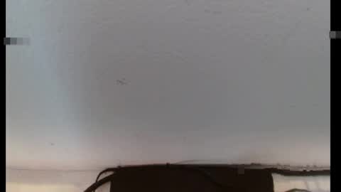 Snapshot of scarlet378580 chatting on 18, 4, 2026 scarlet378580 online show from 18, 4, 2026