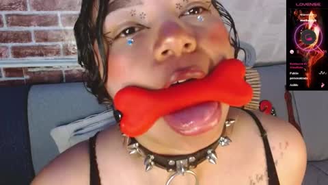 Scarlet online show from 25, 3, 2026