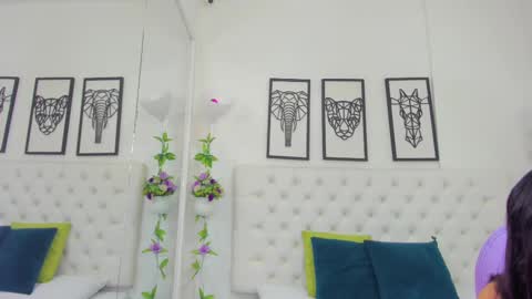 Isa online show from 28, 2, 2025