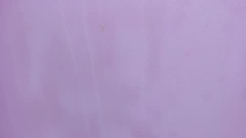 Snapshot of scarlett646 chatting on 28, 2, 2026 Scarlett 3 online show from 28, 2, 2026