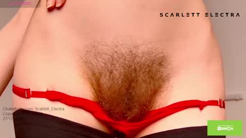 Snapshot of scarlett_electra chatting on 27, 12, 2024 SCARLETT ELECTRA - online show from 27, 12, 2024