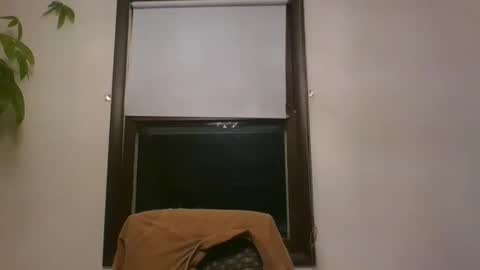 scottpbi52 online show from 31, 12, 2024