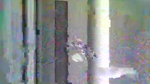 scratt67 online show from 5, 4, 2026