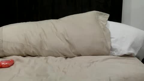 Snapshot of seanfritz1984 chatting on 17, 12, 2025 dick online show from 17, 12, 2025