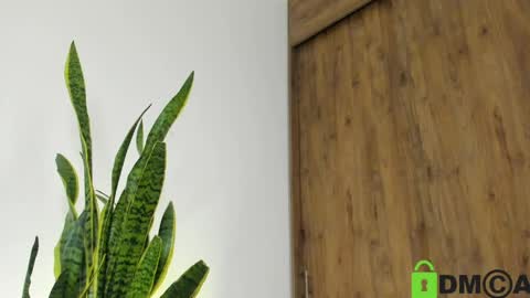 sebastian online show from 21, 4, 2026