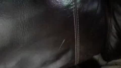 Sunny online show from 13, 1, 2026