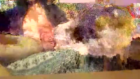 Dirty13 online show from 30, 11, 2025