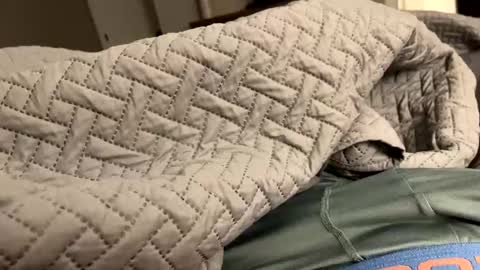 secretlyseductive9399 online show from 8, 12, 2024