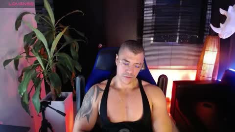 sed online show from 17, 12, 2024