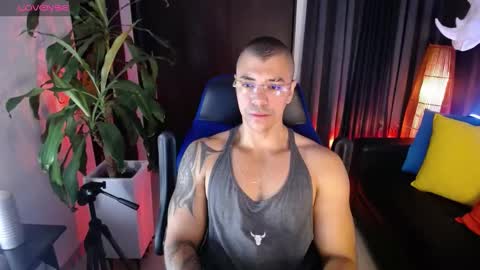 sed online show from 26, 12, 2024