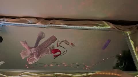 Mali online show from 15, 1, 2026