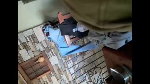 segaiolo21cm online show from 11, 11, 2025