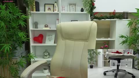 Seline online show from 12, 12, 2024