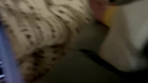 senecathestoic25 online show from 9, 2, 2026